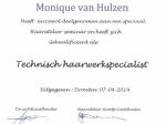 Technisch haarwerkspecialist 2014